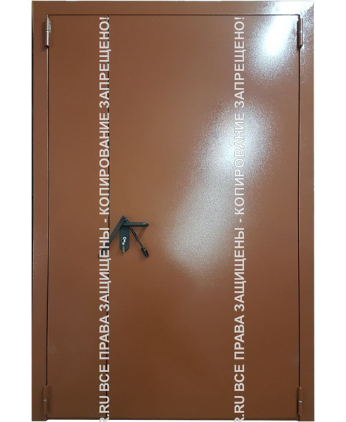 Дверь техническая входная Порошок 623 Дверь техническая входная Порошок 623