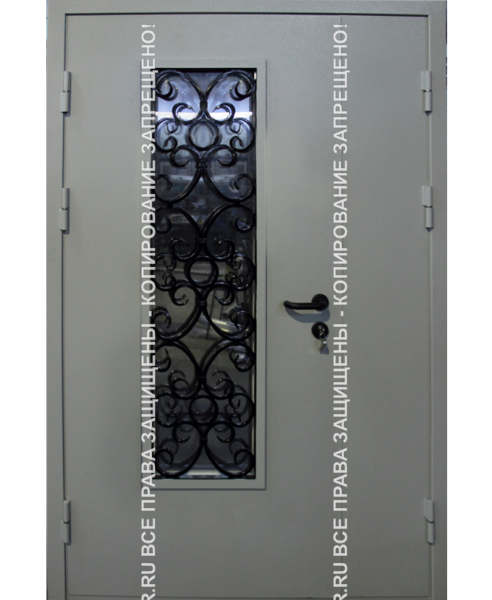 Металлическая техническая дверь Порошок 629 Металлическая техническая дверь Порошок 629